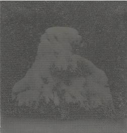 Onlytheweatherthatischangingnight1